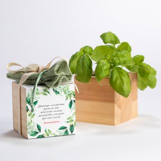 Bomboniera ecologica in legno - Basilico, 10 pz