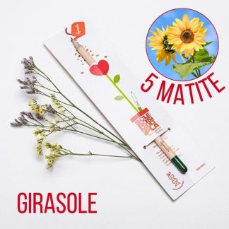 Matita Sprout Girasole, 5 pezzi