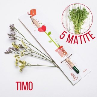 Matita Sprout al Timo, 5 pezzi