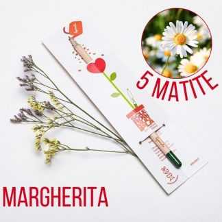 Matita Sprout Margherita, 5 pezzi